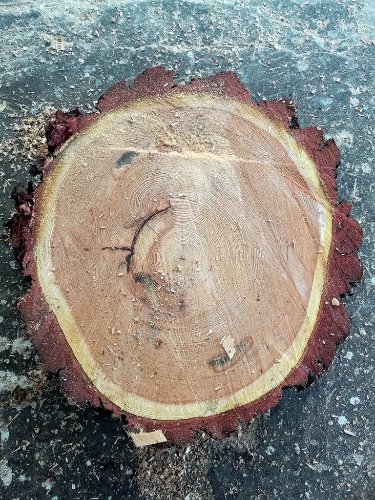 margaroli falegnameria e legno tronco