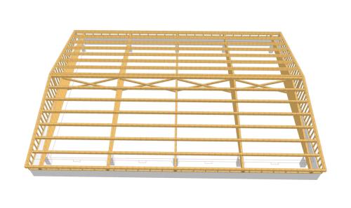 Disegno-Tetto-Bocciodromo-Malesco2