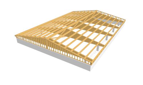 Disegno-Tetto-Bocciodromo-Malesco3