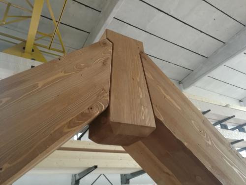 capriata-con-monaco-ridotto