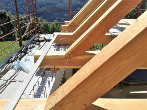 capriata-larice-massiccio-senza-monaco-2