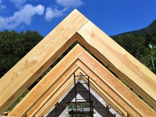 capriata-larice-massiccio-senza-monaco