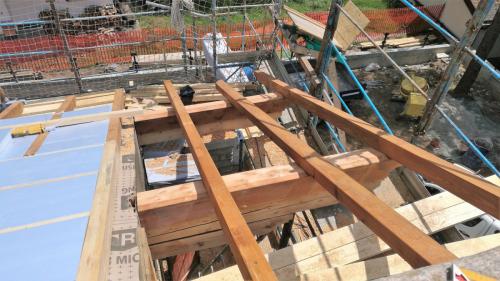 pacchetto-tetto-con-passafuori-in-larice-massiccio-2